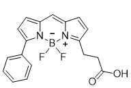 bodipy-r6g-acid